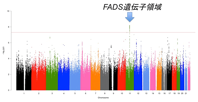 説明図・1枚目（説明は図の下に記載）