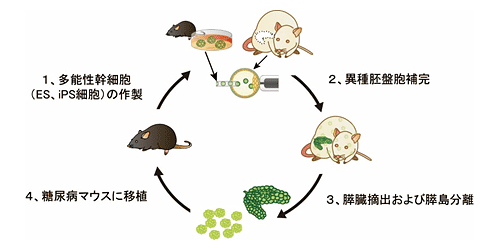 説明図・1枚目（説明は図の下に記載）