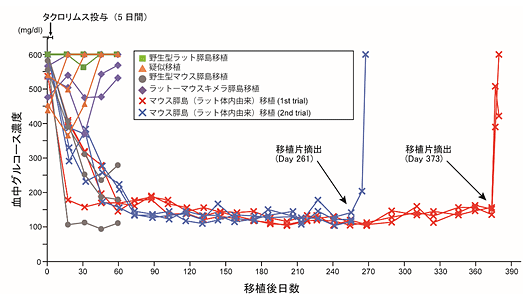 説明図・3枚目（説明は図の下に記載）