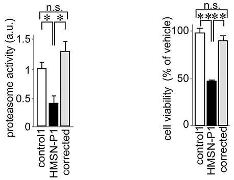 iPS細胞から作製した神経細胞のUPS機能（左側）とUPS機能を抑える試薬を加えた際の細胞生存率（右側）
