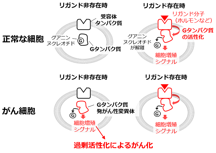 説明図・1枚目（説明は図の下に記載）