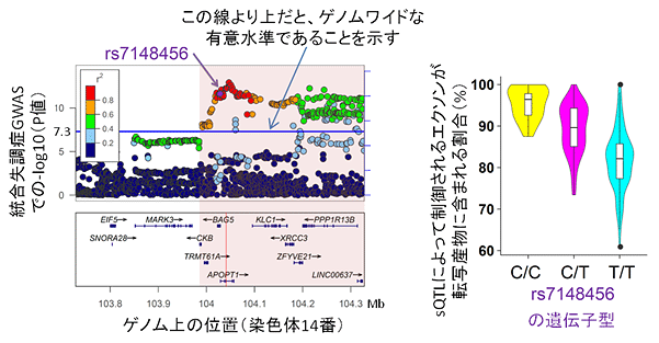 説明図・2枚目（説明は図の下に記載）