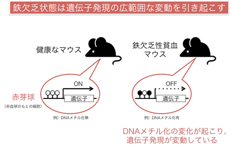 説明図・1枚目（説明は本文中に記載）