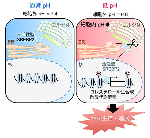 説明図（説明は図の下に記載）