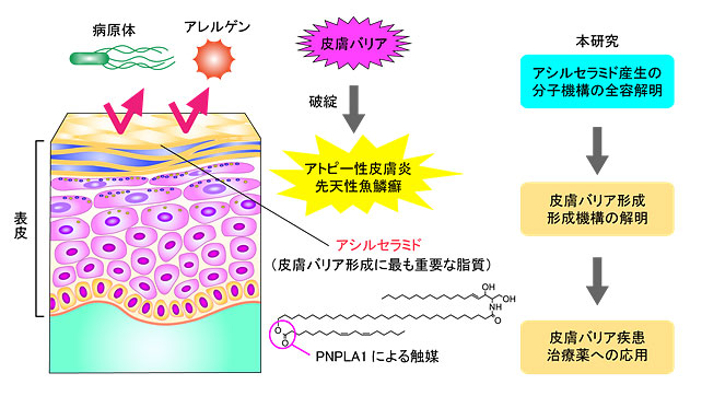 説明図（説明は本文中に記載）