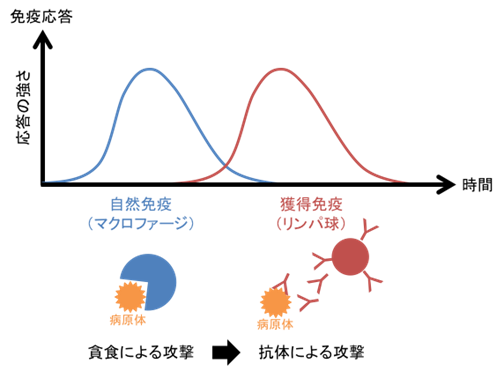 説明図・1枚目（説明は本文中に記載）