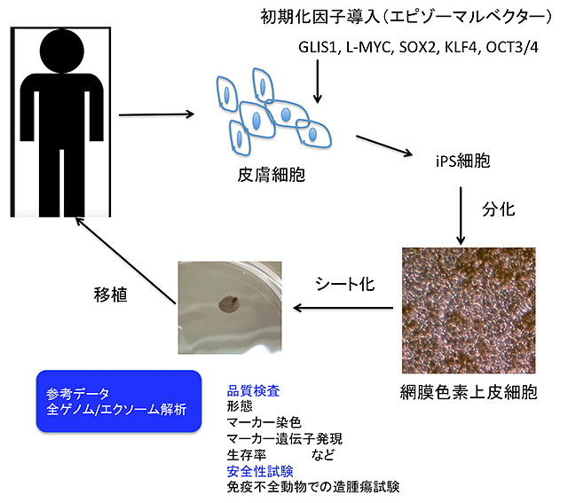 説明図・2枚目（説明は本文中に記載）