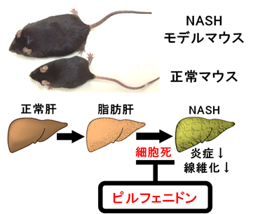 説明図・1枚目（説明は本文中に記載）