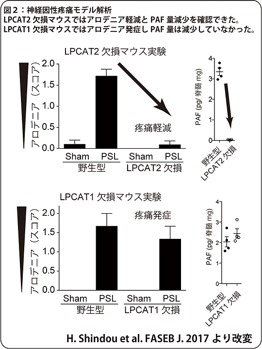 説明図・2枚目（説明は本文中に記載）