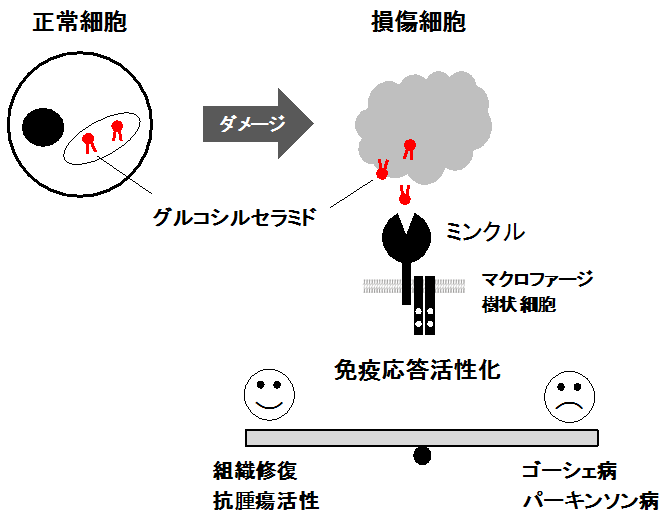 参考図（説明は図の下に記載）