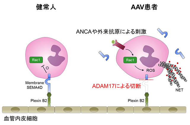 説明図・1枚目（説明は本文中に記載）