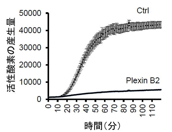 説明図・2枚目（説明は本文中に記載）