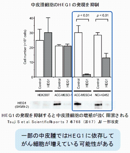 説明図・5枚目（説明は本文中に記載）