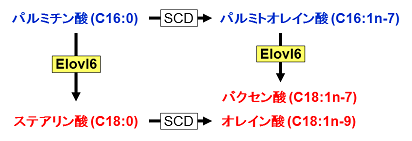 説明図・1枚目（説明は本文中に記載）