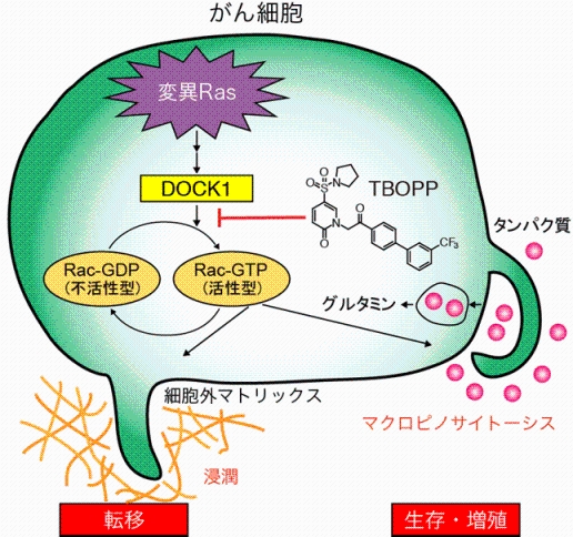 説明図・4枚目（説明は図の下に記載）