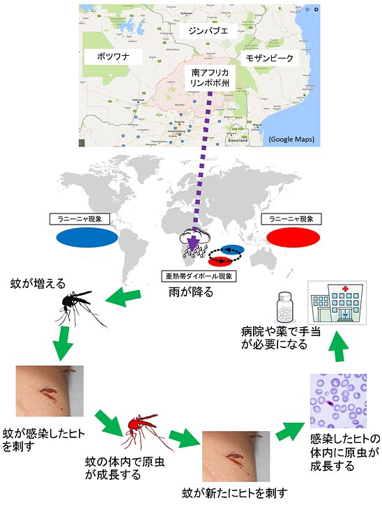 説明図・1枚目（説明は図の下に記載）