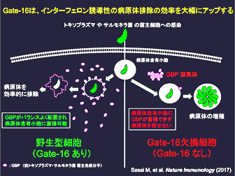 説明図1