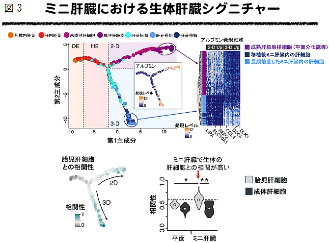 説明図3