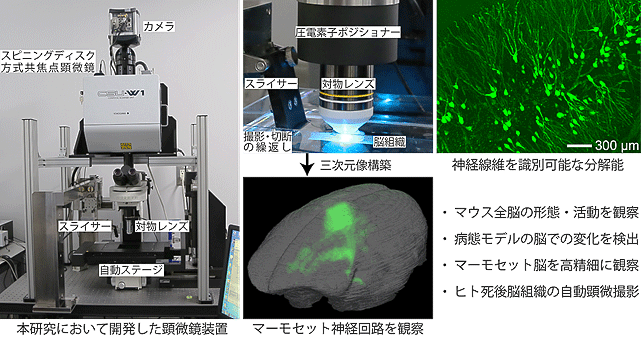 図1．本研究において開発した顕微鏡装置FASTとその応用例