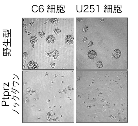 説明図・1枚目（説明は図の下に記載）