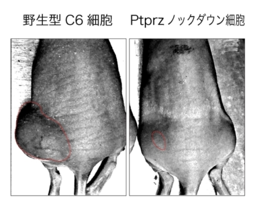 説明図・2枚目（説明は図の下に記載）