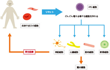 説明図1枚目（説明は本文中に記載）