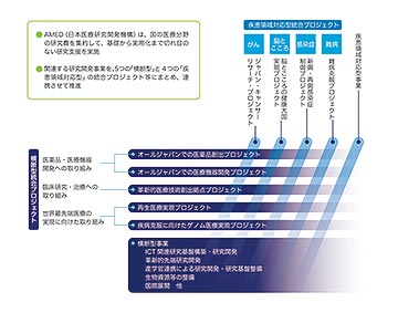 （説明は本文中に記載）