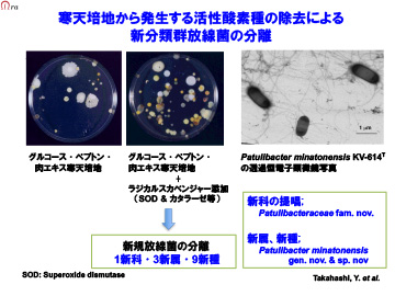 （説明は本文中に記載）