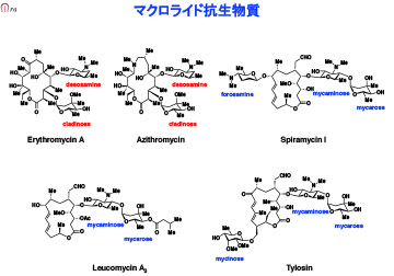 説明は本文中に記載