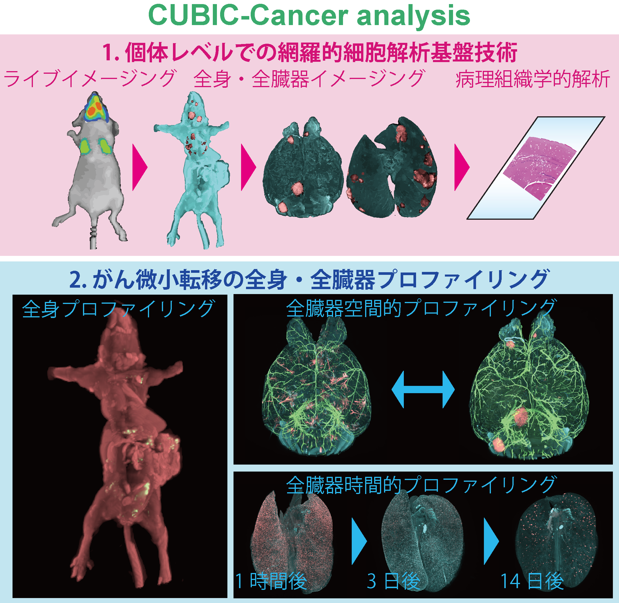 説明図・1枚目（説明は図の下に記載）