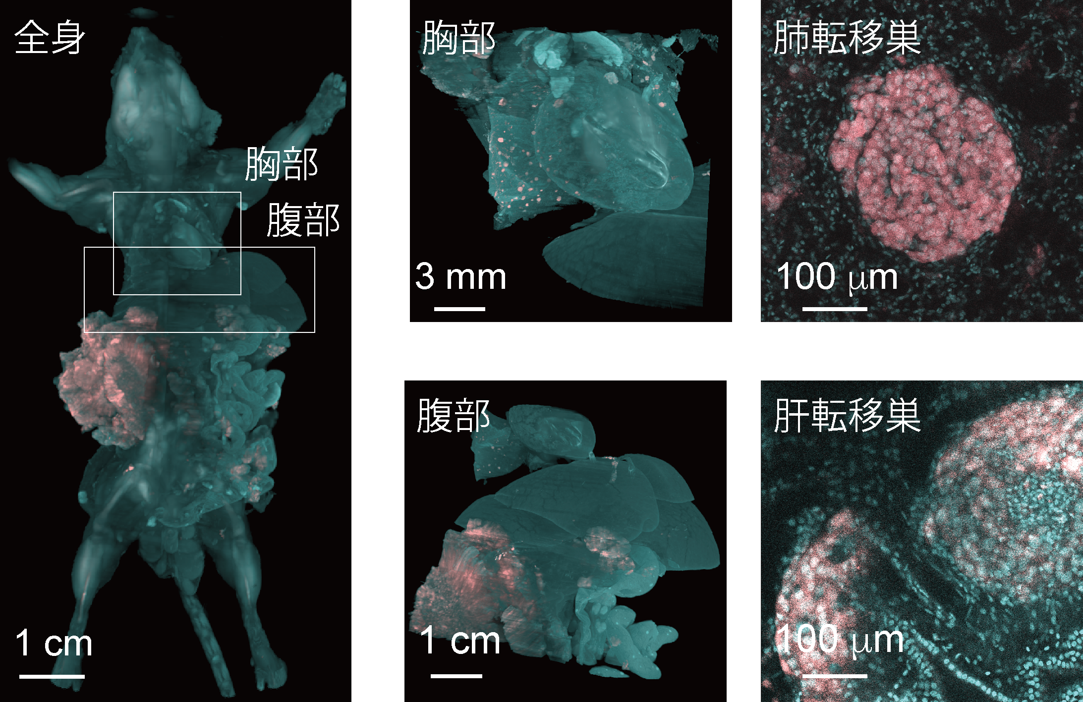 説明図・3枚目（説明は図の下に記載）