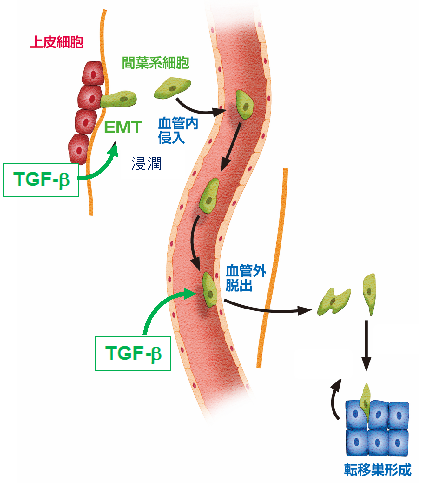 説明図・4枚目（説明は図の下に記載）