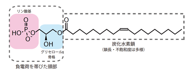 説明図・1枚目