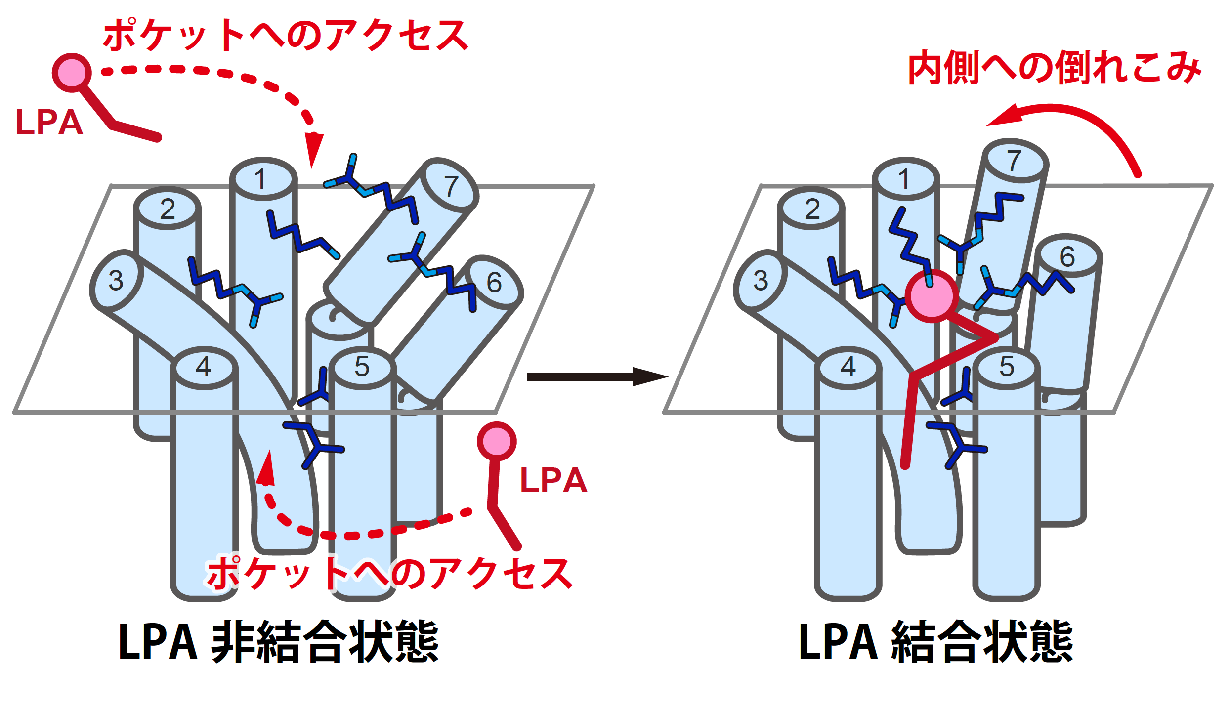 説明図・3枚目（説明は図の下に記載）