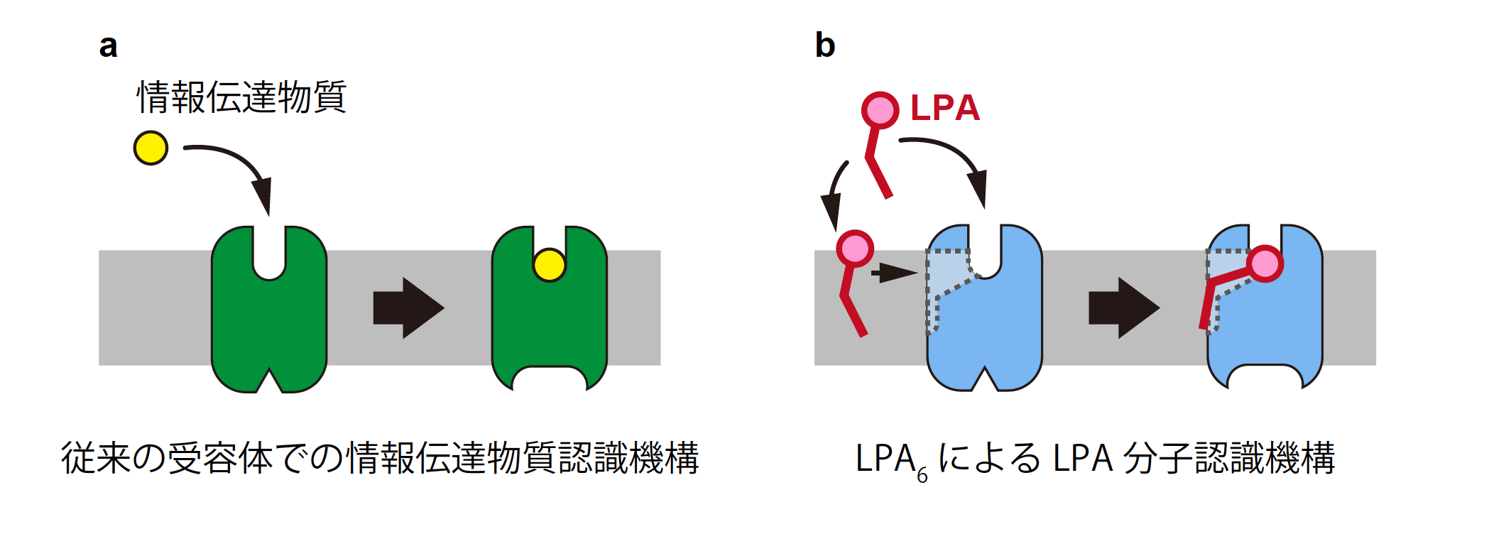 説明図・4枚目（説明は図の下に記載）