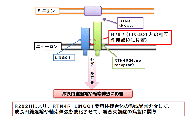 説明図・3枚目（説明は本文中に記載）