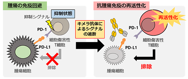 説明図・1枚目（説明は本文中に記載）