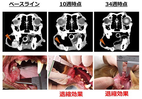 説明図・3枚目（説明は本文中に記載）