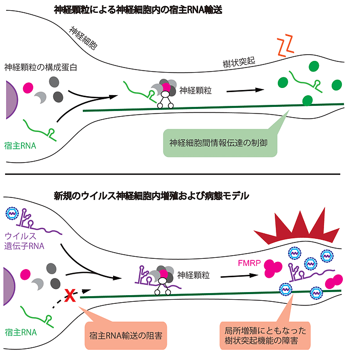 説明図・1枚目（説明は本文中に記載）