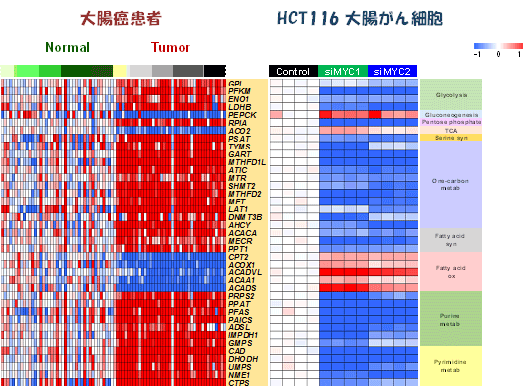 説明図・9枚目（説明は図の下に記載）