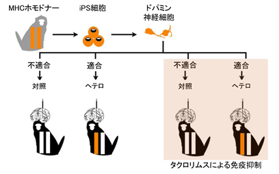 説明図・1枚目（説明は図の下に記載）