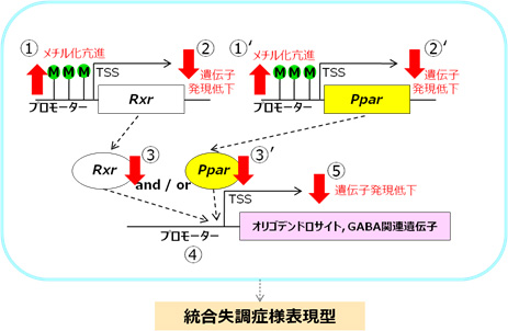 説明図・2枚目（説明は図の下に記載）