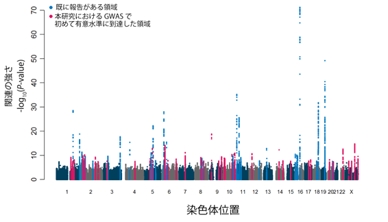 説明図・1枚目（説明は図の下に記載）