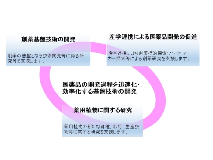 医薬品の開発過程を迅速化・効率化する基盤技術の開発