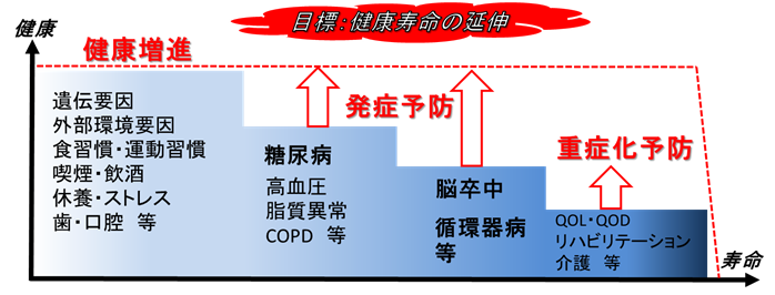 概要図