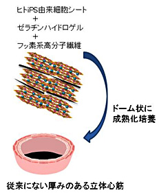 説明図