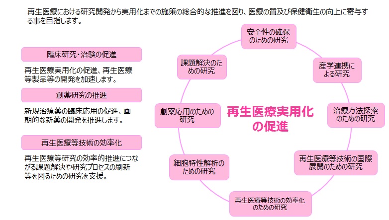 再生医療実用化研究事業の図