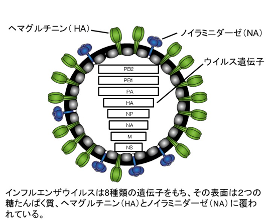 図1