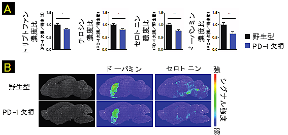 説明図