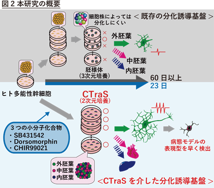 図2